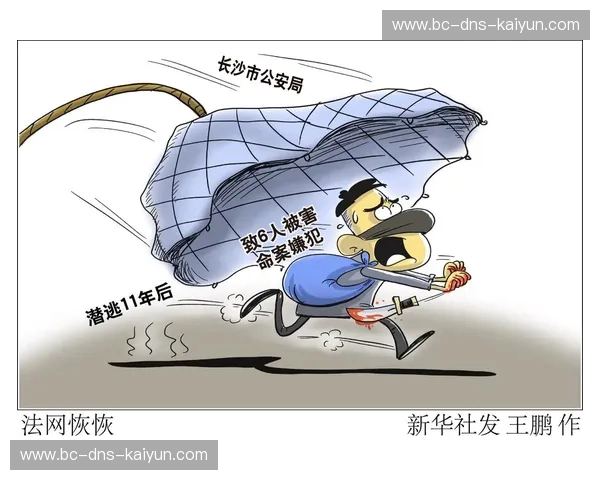 法网新闻：洞察法治脉动，连接社会与正义