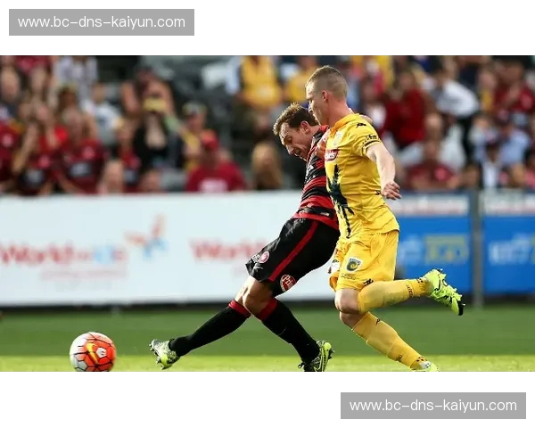 红狼之啸与公牛之韧：奥林匹克球场下的意甲权力游戏